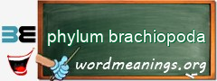 WordMeaning blackboard for phylum brachiopoda